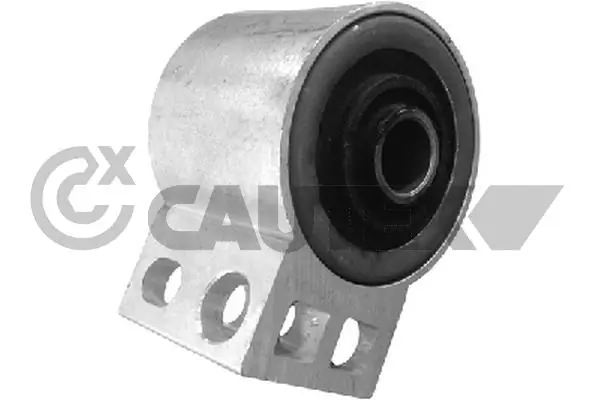 480561 Cautex