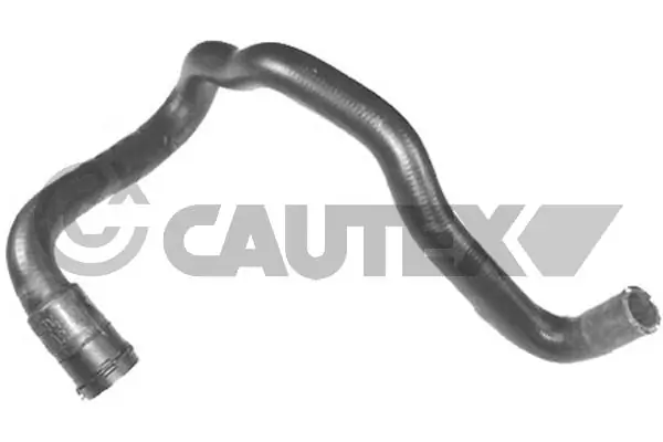 752744 Cautex