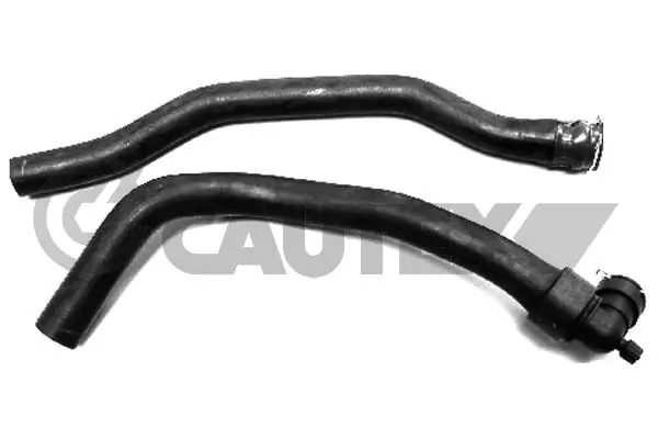 751878 Cautex