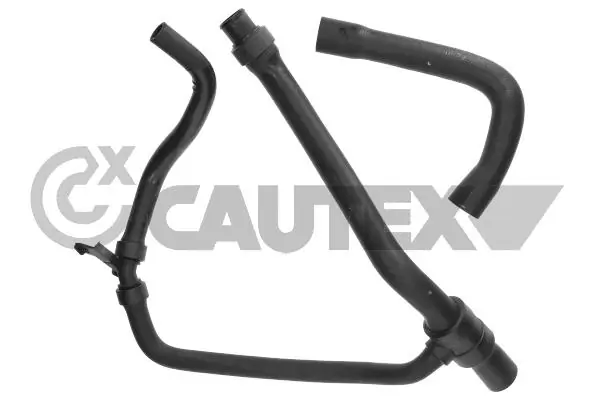 031134 Cautex