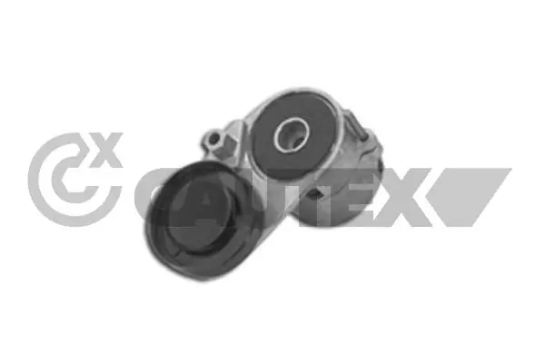 460983 Cautex