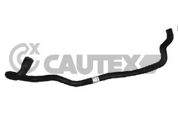 036158 Cautex