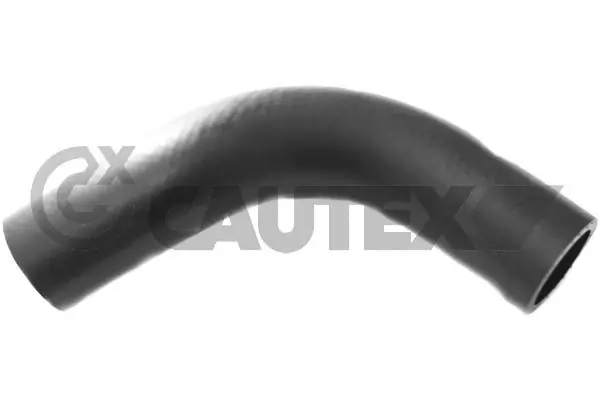 760313 Cautex