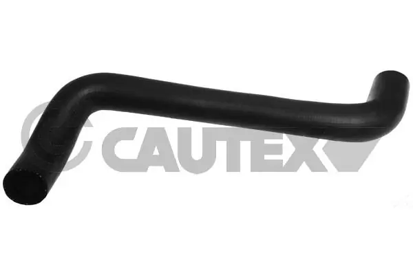 481129 Cautex