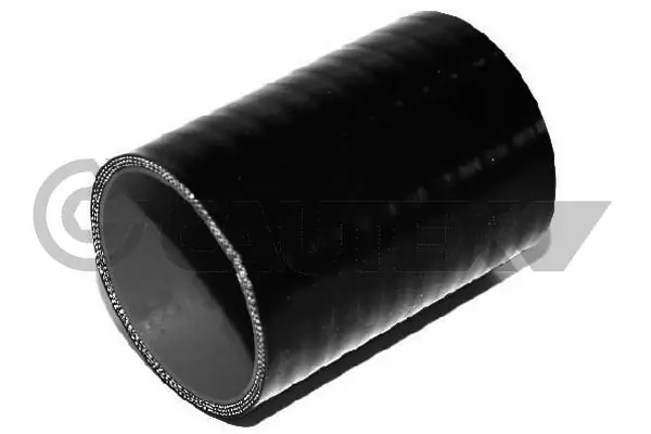 486118 Cautex