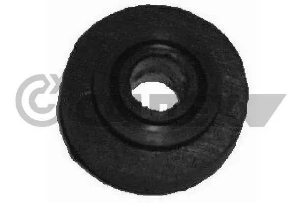 480828 Cautex