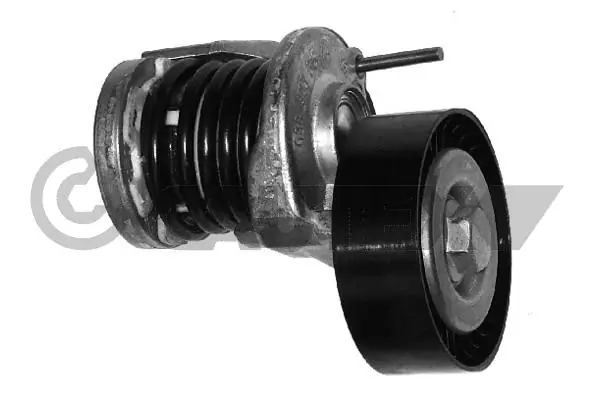 Tensor de correa, correa poli V Audi A4 8E2