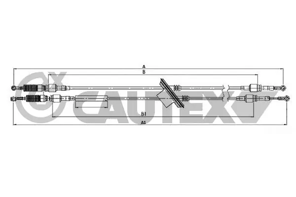 766484 Cautex