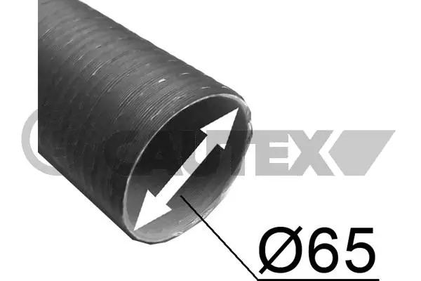 900413 Cautex