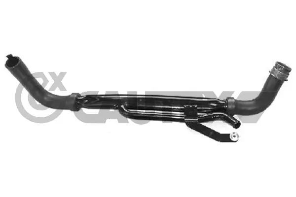 031098 Cautex