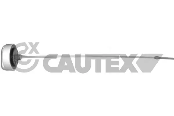 021402 Cautex