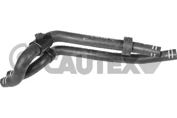 016412 Cautex