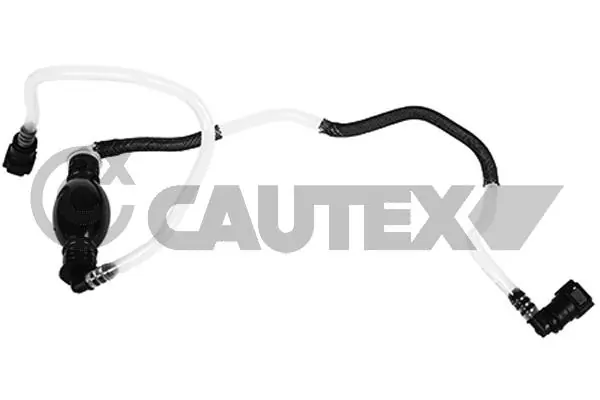 757286 Cautex