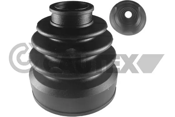 060626 Cautex