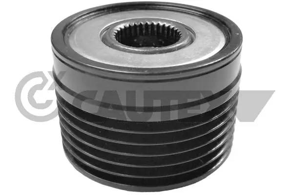 030954 Cautex