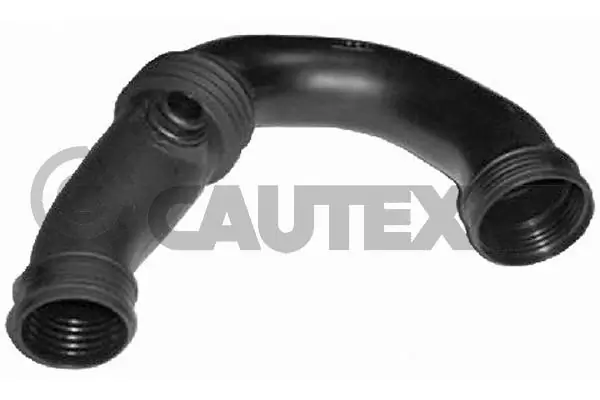 026829 Cautex