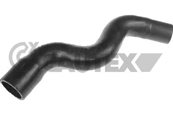 036026 Cautex