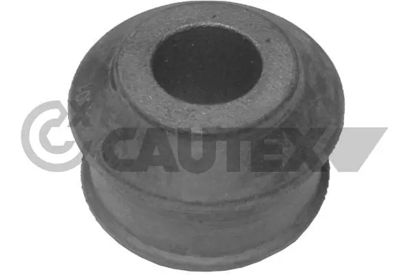 480553 Cautex