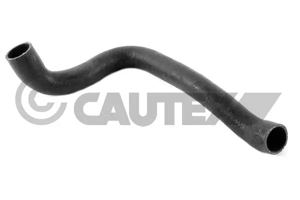 206007 Cautex