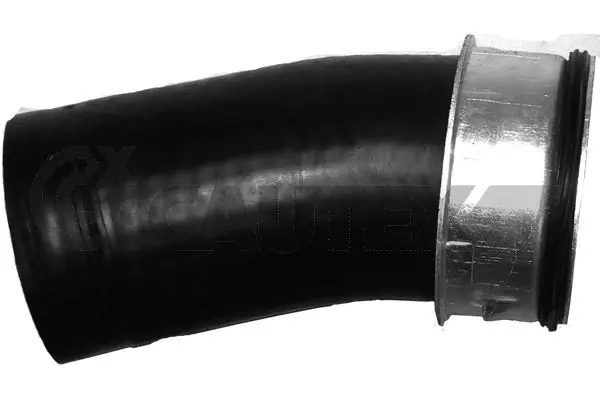 466755 Cautex