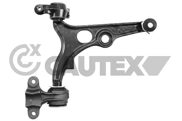 031658 Cautex