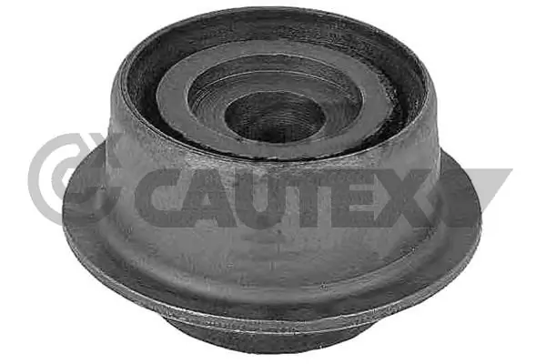 031368 Cautex