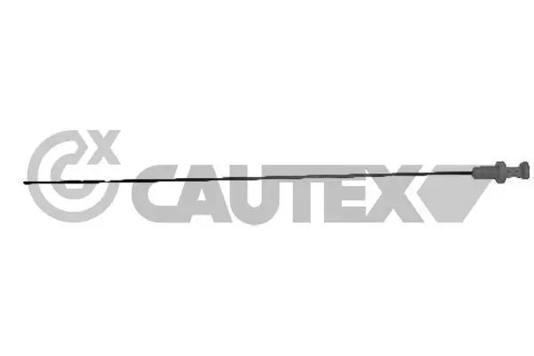 031328 Cautex