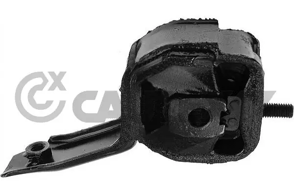 080121 Cautex