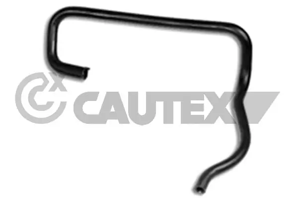 036459 Cautex