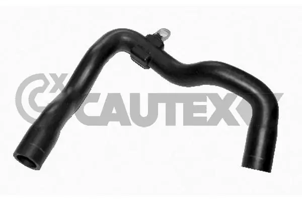 086774 Cautex