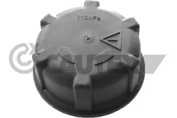 751293 Cautex
