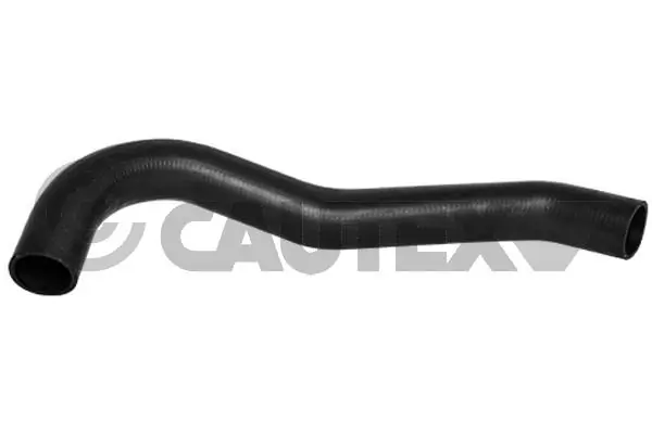 752701 Cautex