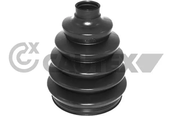 031637 Cautex