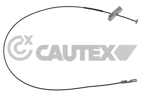 069100 Cautex