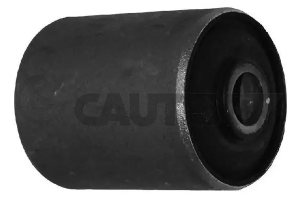 080226 Cautex