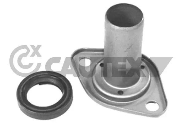 031651 Cautex