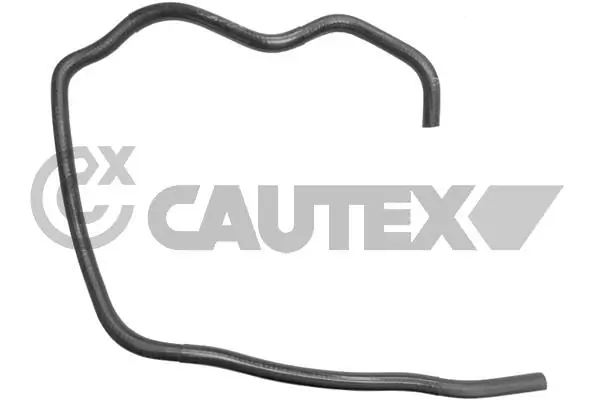 486113 Cautex