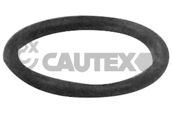 751984 Cautex