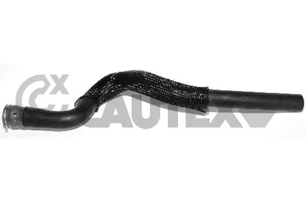 031311 Cautex