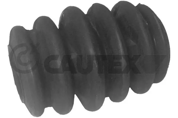 080212 Cautex