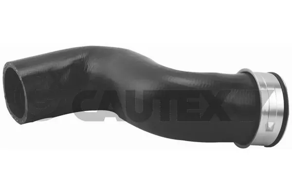 186735 Cautex
