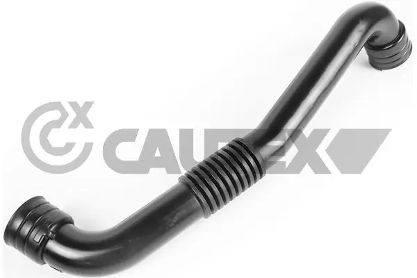 771873 Cautex