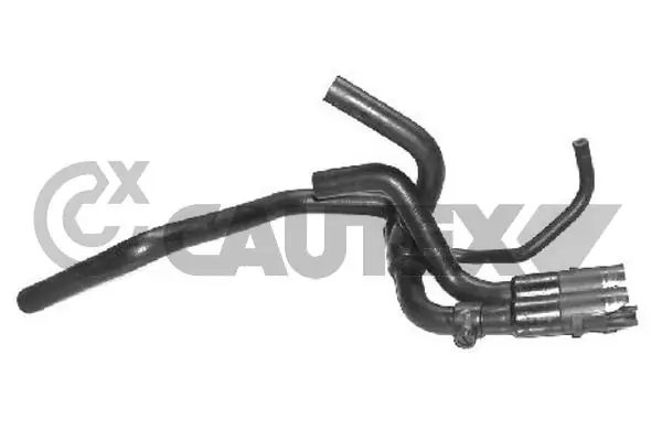 021220 Cautex