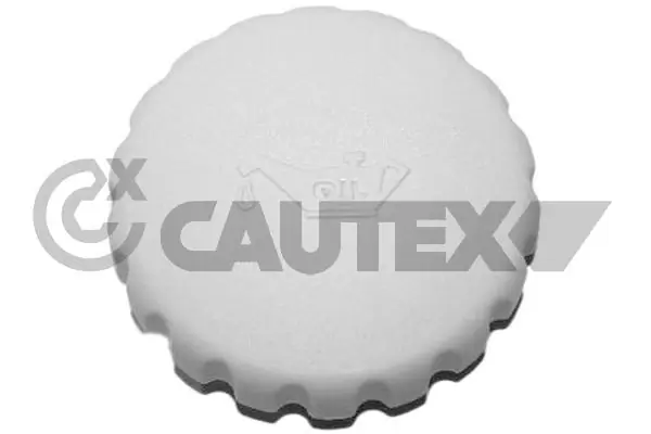 481076 Cautex