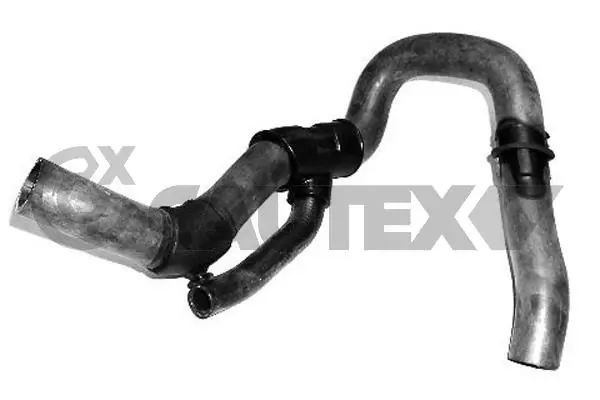 026859 Cautex