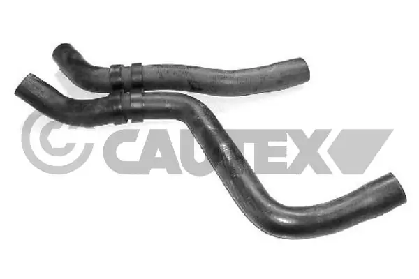 466006 Cautex