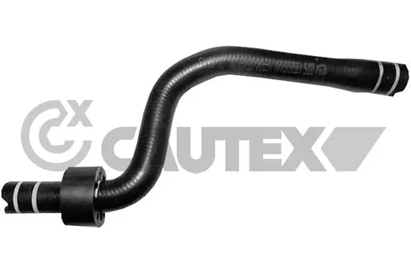 036737 Cautex