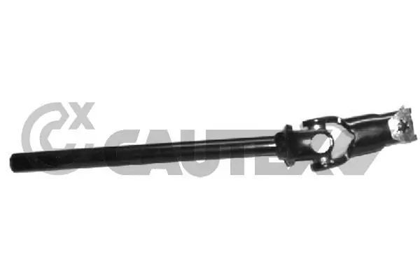 031572 Cautex