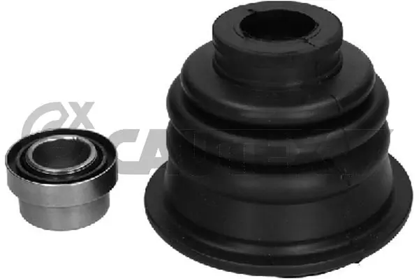 020390 Cautex