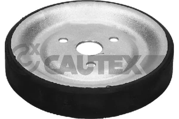 Polea bomda de agua Citroen C3  (SH)